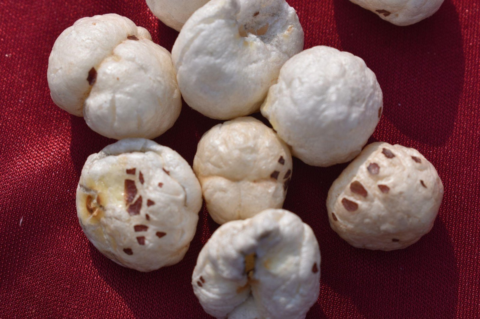 Classic Salted Roasted Makhana (100g)